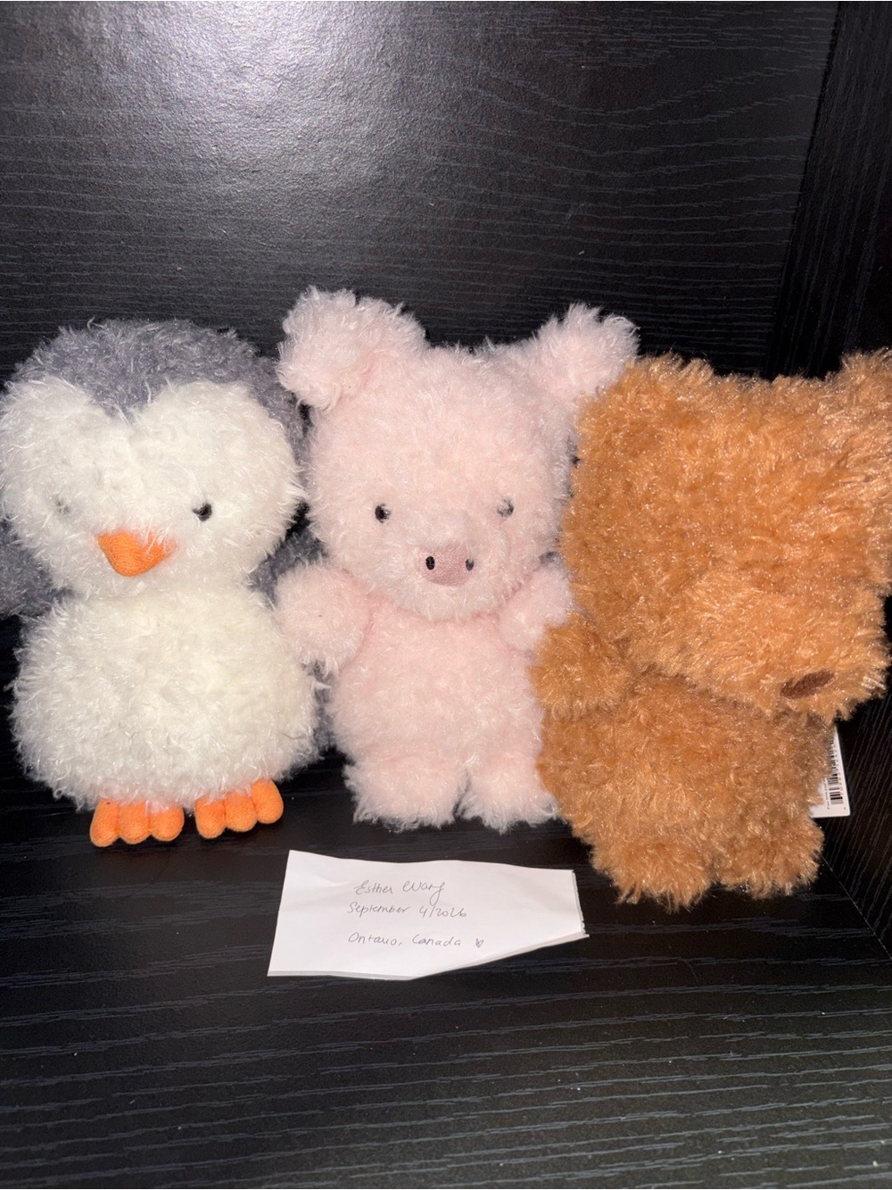 Jellycat little series bundle all BNWT